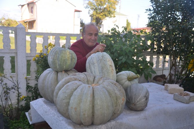 Yaklaşık 60 Kilo Ağırlığında Bal Kabağı Yetiştirdi