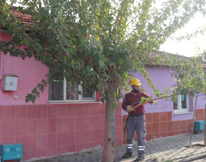 Turgutlu’da Fidanlar Toprakla Buluşuyor