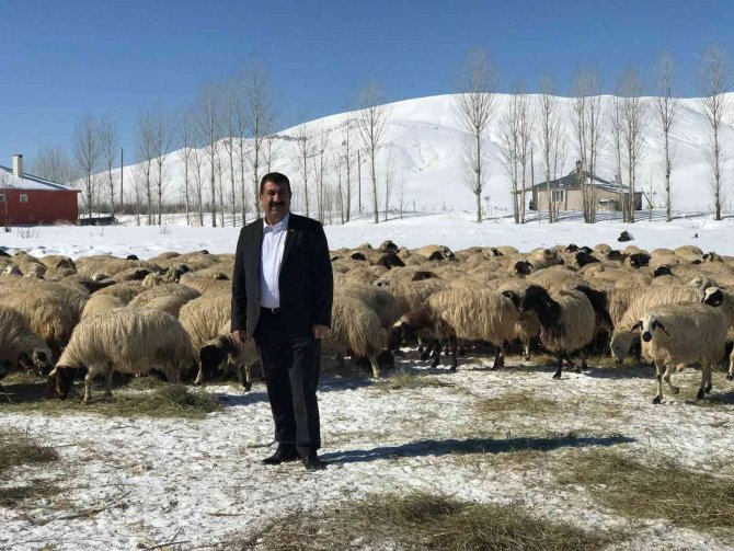 Tüdki̇yeb Genel Başkanı Çelik: "Kış Aylarına Mahsus Yem Desteği Artırılmalıdır"