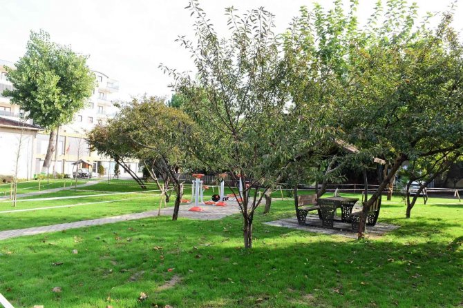 Yunus Emre’ye Çifte Park