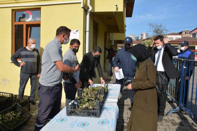 Osmanlı Çileği Fideleri Halkla Buluştu