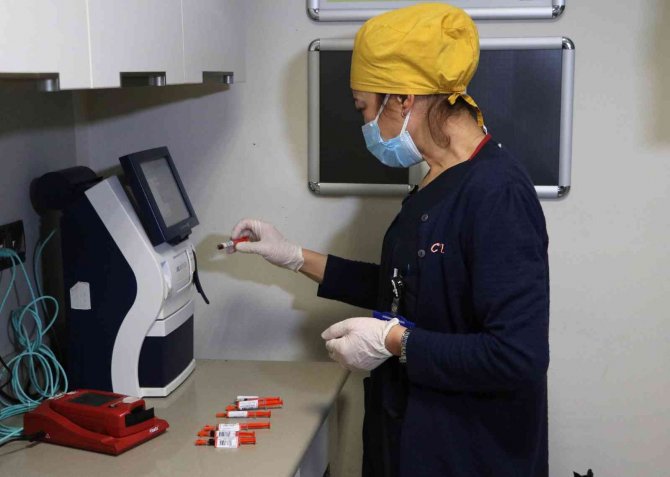 Hem Pandeminin Yükünü Kaldırdı, Hem Diğer Hastalara Şifa Dağıttı