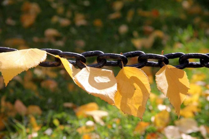 Bayburt’ta Kartpostallık Sonbahar!