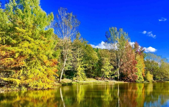 Bayburt’ta Kartpostallık Sonbahar!