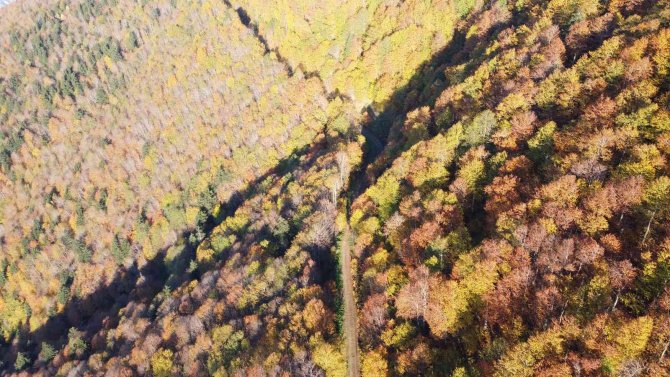 2 Bin 80 Rakımlı Genya Dağında Sonbahar’da Renk Cümbüşü Yaşanıyor