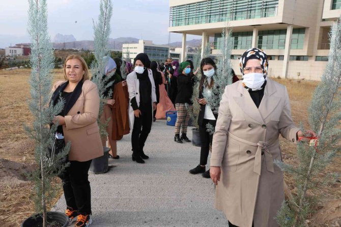 Bitlisli Kadınlar Şehri Nuh’ta Buluştu
