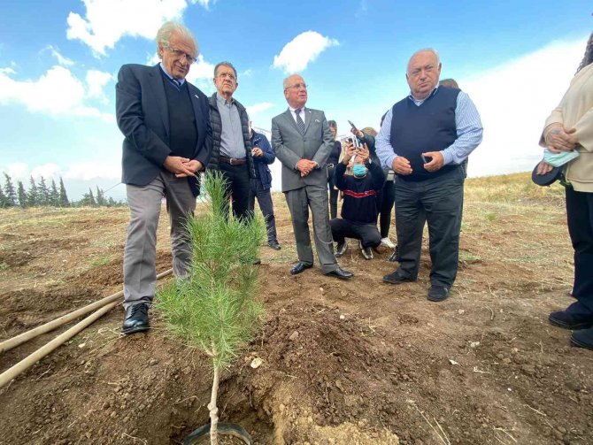 İ̇hracat Şampiyonları İçin Ei̇b Korusu Oluşturuldu