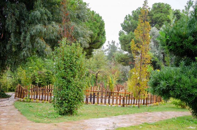 Kepez Botanik Park, Kapılarını Açmaya Hazırlanıyor