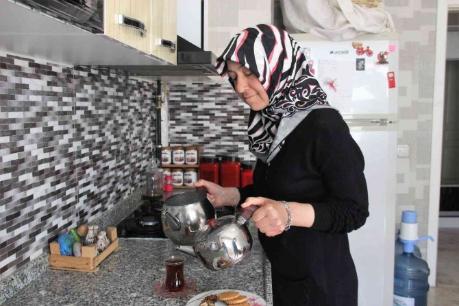 Abisinin Böbreğiyle Hayata Tutundu