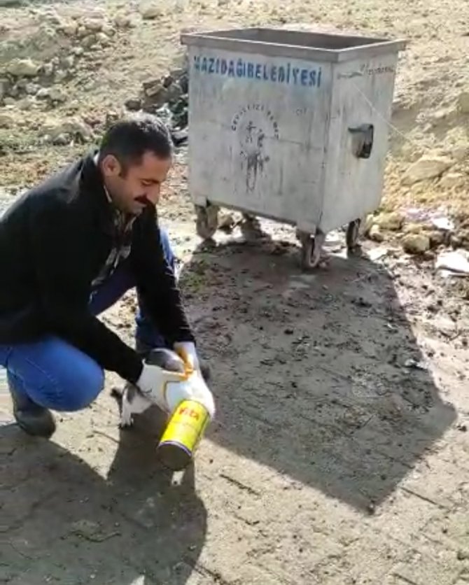 Kafası Teneke Kutuya Sıkışan Kediyi, İ̇lçe Orman Şefliği Ekipleri Kurtardı