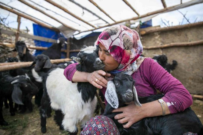 Mersin Büyükşehir Belediyesi, 163 Kooperatif, Birlik Ve Odayla İşbirliği Yapıyor