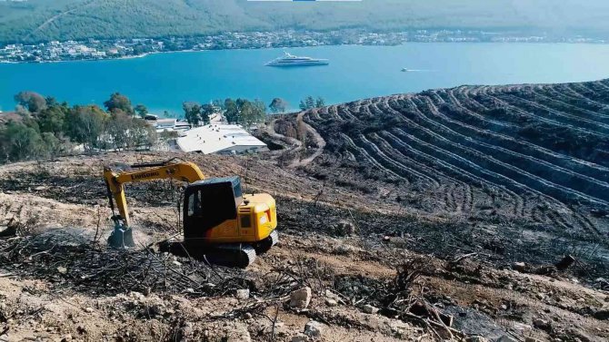 Fidan Dikim Seferberliği 11 Kasım’da