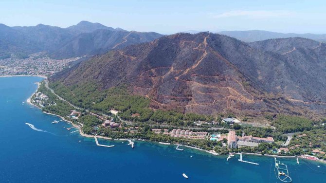Fidan Dikim Seferberliği 11 Kasım’da
