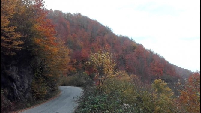 Ordu’da Sonbahar Güzelliği