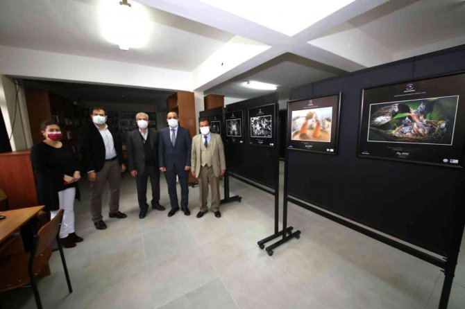 Ödüllü Fotoğraflar Sergilenmeye Başladı