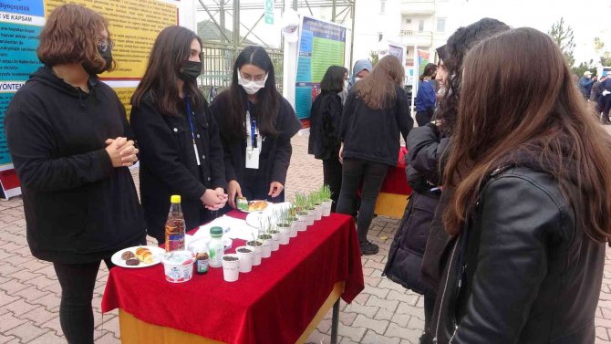 Kilim Sosyal Bilimler Lisesi Bilim Fuarı Başladı