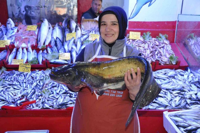 Balık Pazarında Tezgahlar Doldu Taştı