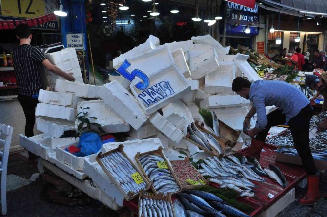 Hamsinin Kilosu 5 Tl’ye Düştü, Dakikalar İçerisinde Tonlarca Satıldı