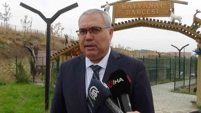 Muş’ta Devlet Eliyle Açılan Hayvanat Bahçesi Yerli Ve Yabancı Turistleri Bekliyor
