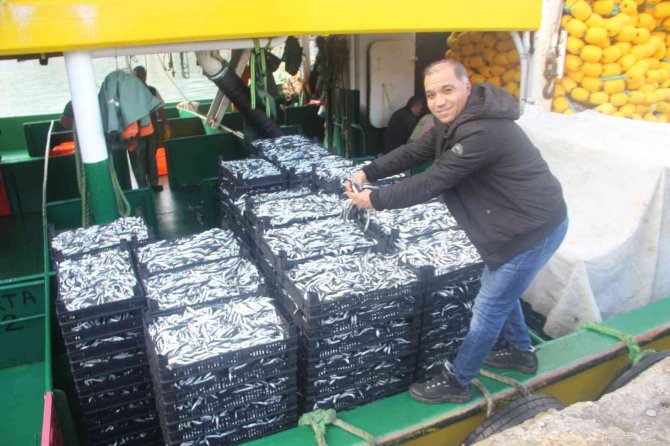 Balıkçılar Denizden Tonlarca Hamsi İle Döndü, Fiyatı 10 Tl’ye Kadar Düştü