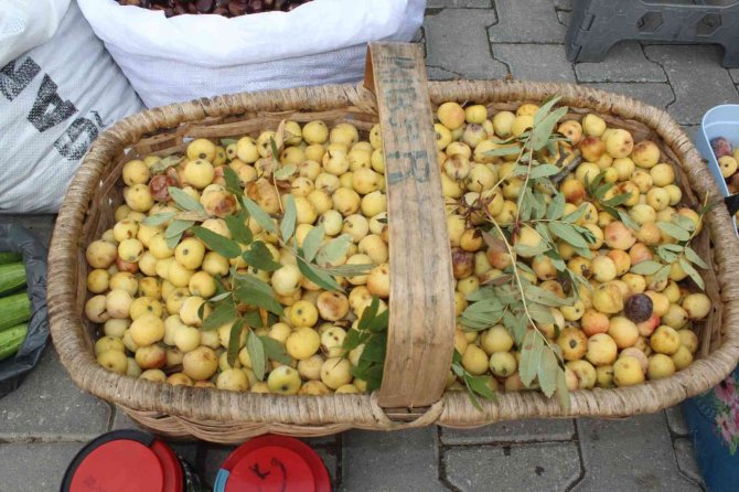 Sezonun İlk Üvezi, Tezgahlarda Yerini Aldı