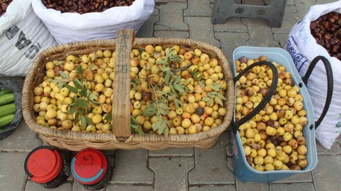 Sezonun İlk Üvezi, Tezgahlarda Yerini Aldı