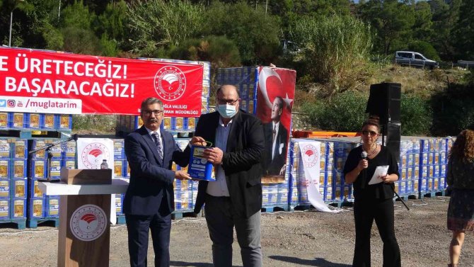 Muğla’da Yangınlarda Zarar Gören Arıcılara Arı Yemi Desteği