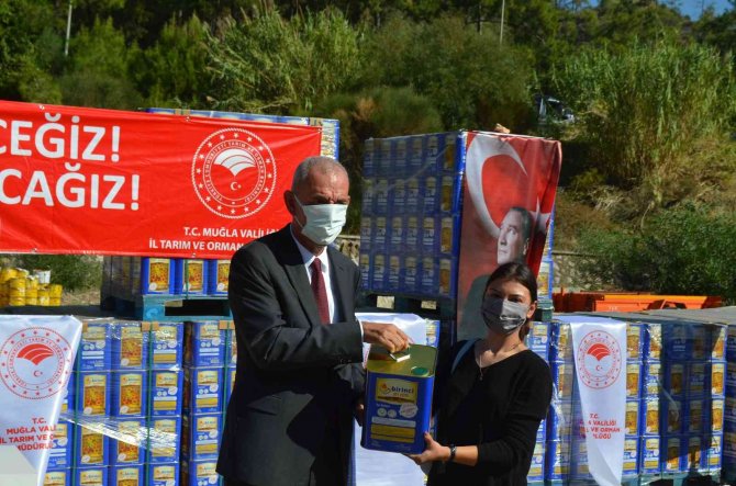 Muğla’da Yangınlarda Zarar Gören Arıcılara Arı Yemi Desteği