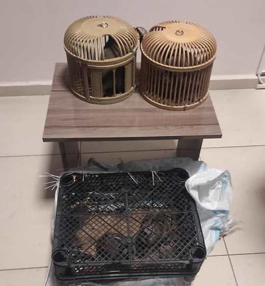 Van’da Kafes Avcılığı