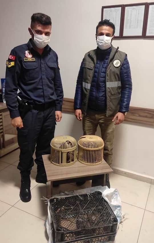 Van’da Kafes Avcılığı