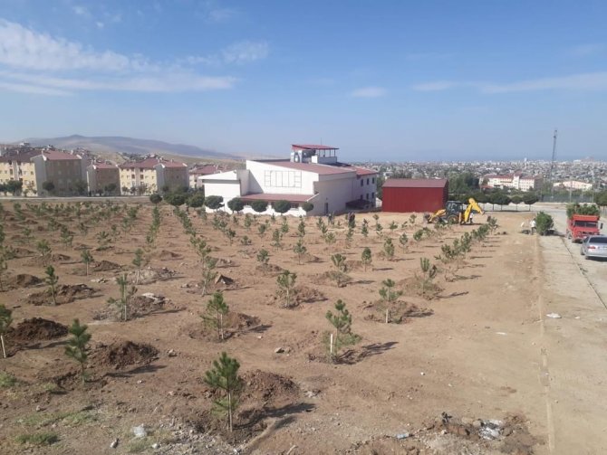 İ̇pekyolunda Park Ve Bahçeler Kışa Hazırlanıyor