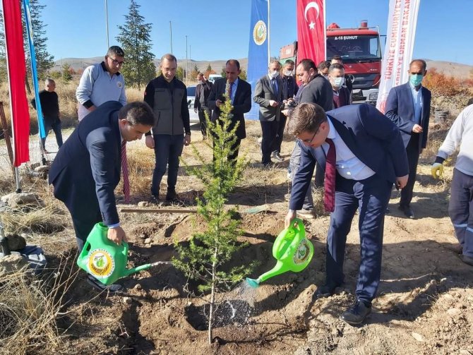 Şuhut’ta ’Öğretmenler Hatıra Ormanı’nda Fidanlar Toprakla Buluştu