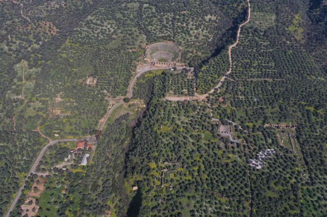 Aydın’da 8 Milyon Fidan Dikilecek
