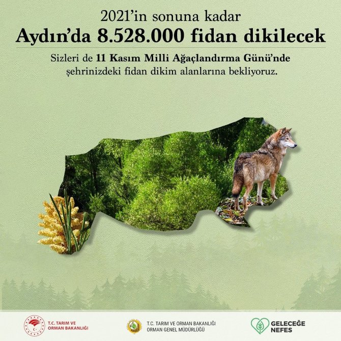 Aydın’da 8 Milyon Fidan Dikilecek