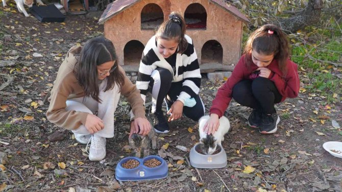 Balıkesir Büyükşehir, Hayvansever Çocukların Yüzünü Güldürdü