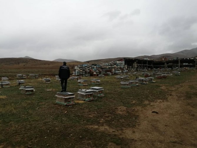 Bayburt’ta 2021 Yılı Arılı Kovan Desteklemesi Kovan Tespitleri Başladı
