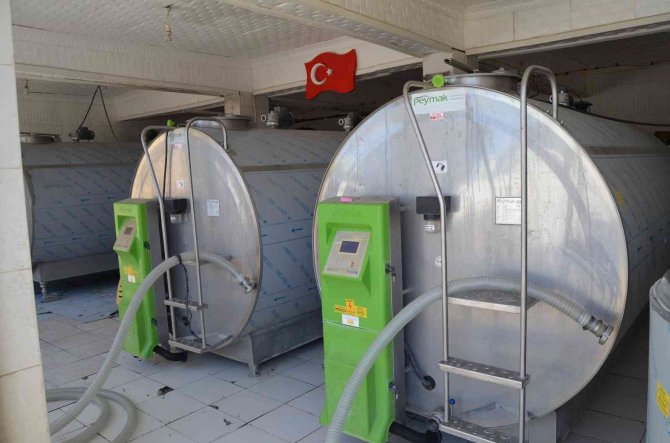 En Modern Süt Toplama Ağı Denizli’ye Kuruluyor