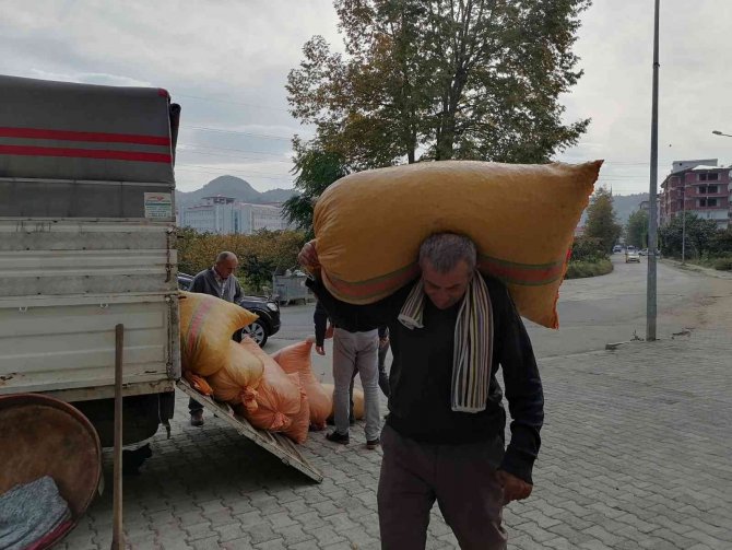 Fiyat Farkı Üreticiyi Tmo’ya Yöneltiyor