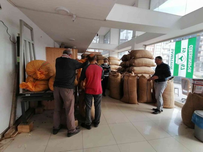 Fiyat Farkı Üreticiyi Tmo’ya Yöneltiyor