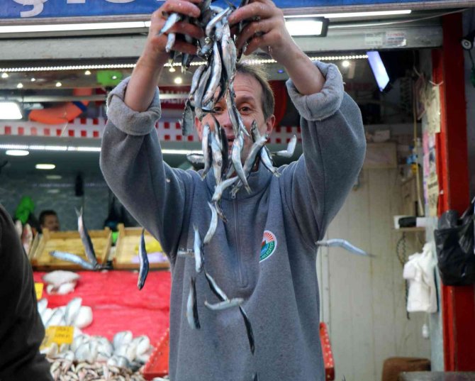 Karadeniz’deki Hamsi Bolluğu Samsun’daki Fiyatlara Yansımıyor
