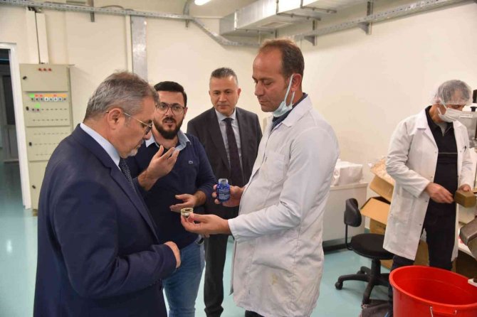 İ̇stinye Üniversitesinden Düzce Üniversitesi’ne Ziyaret