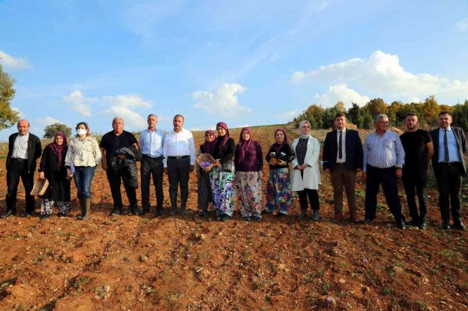 Kırsal Kalkınma Yatırımlarına Destek