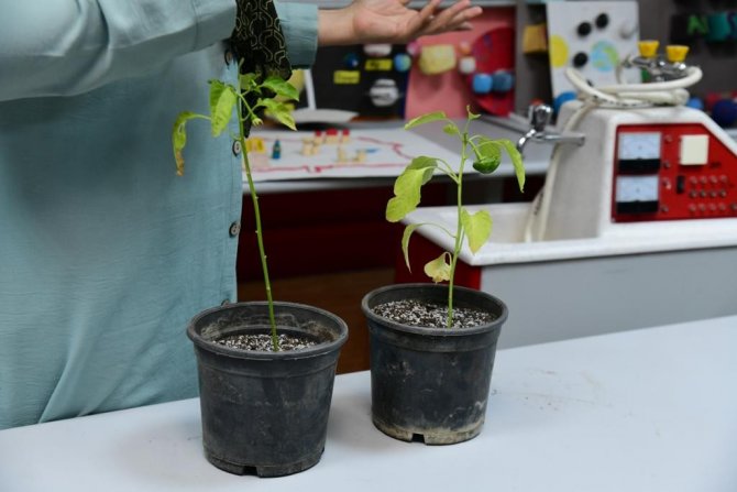 Mamaklı Öğrencilere Gölge Gösterisi İle Tohum Eğitimi