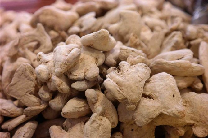 Mevsim Değişikliğinde Direnç Artırmanın Yolu: Zencefil