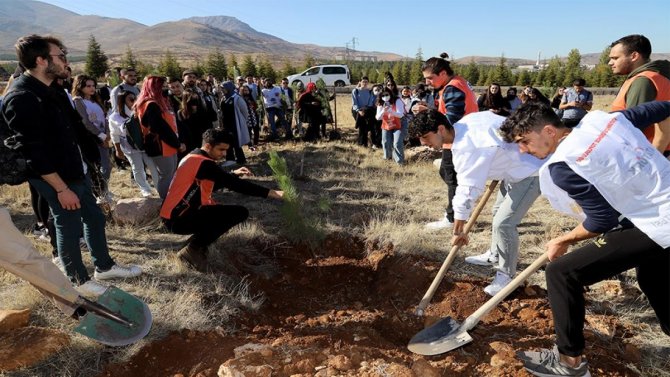 Öğrenciler Fidan Dikiminde Buluştu