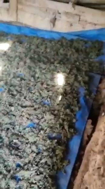 Jandarmanın 8 Kilo Esrarla Yakaladığı Şahıs Tutuklandı