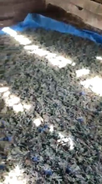 Jandarmanın 8 Kilo Esrarla Yakaladığı Şahıs Tutuklandı