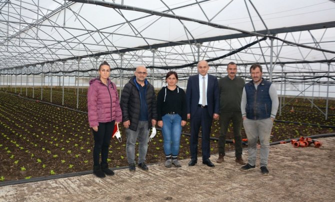 Türkiye’nin Marulu 19 Mayıs’tan