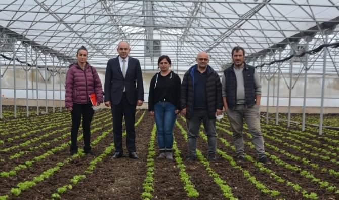 Türkiye’nin Marulu 19 Mayıs’tan