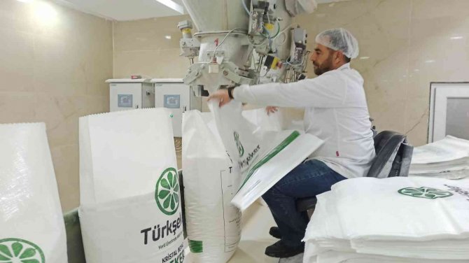 Malatya Şeker Fabrikası’nda Hedef 60 Bin Ton Şeker Üretimi